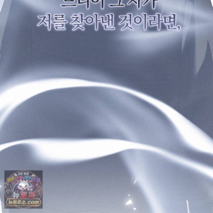 213.jpg