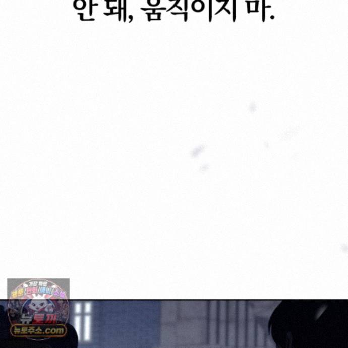 239.jpg