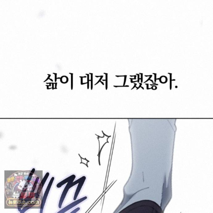 243.jpg