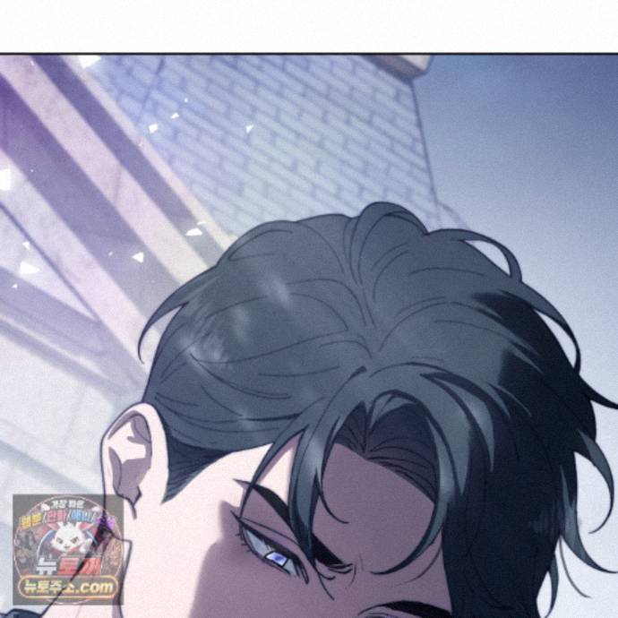 275.jpg
