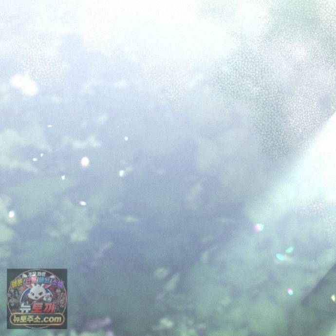 003.jpg