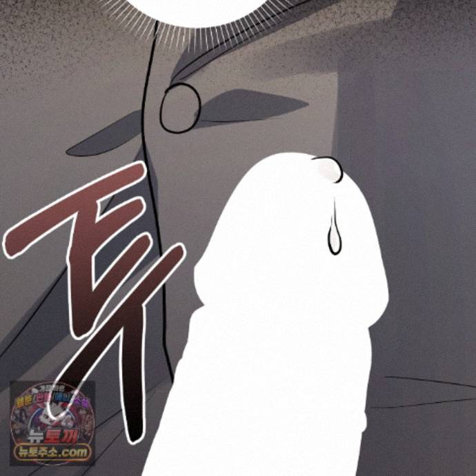 102.jpg
