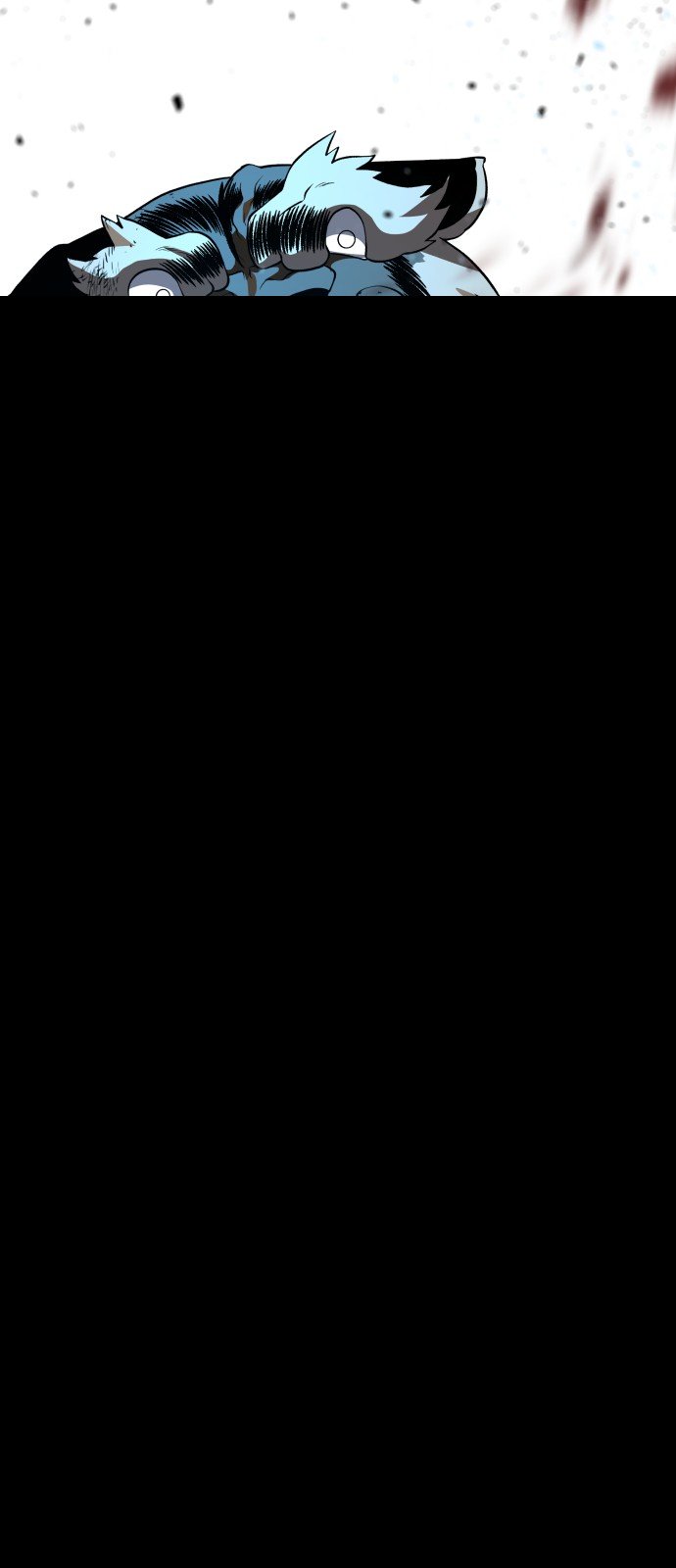 112.jpg