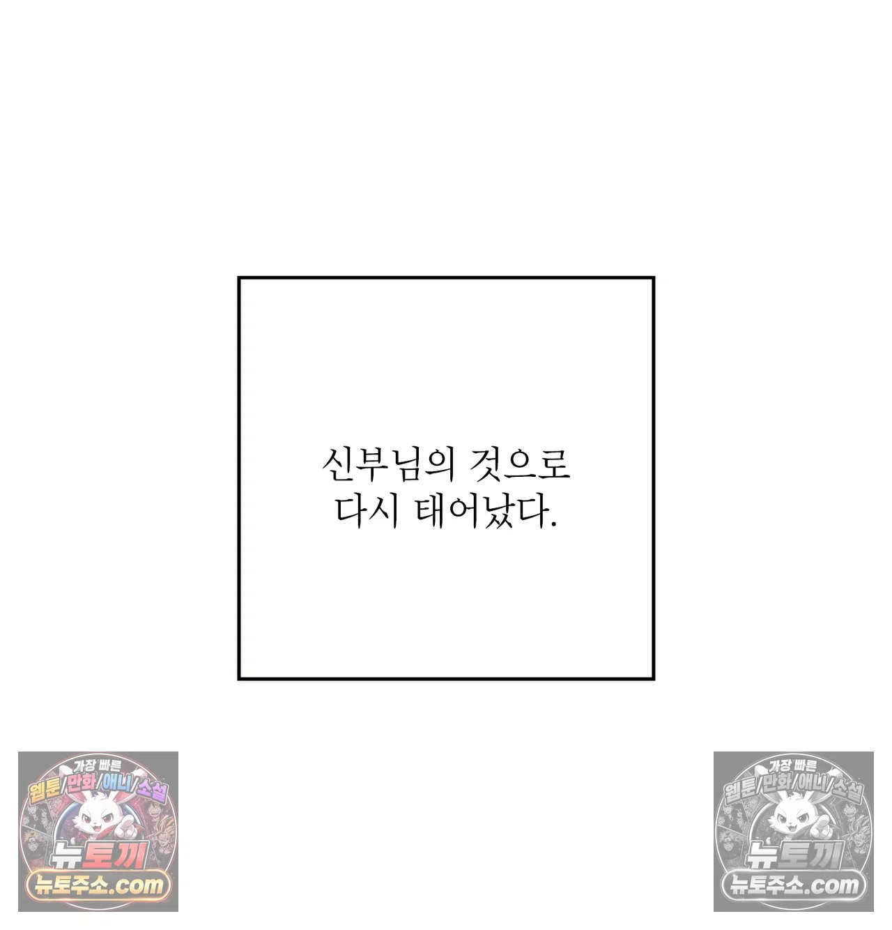 144.jpg