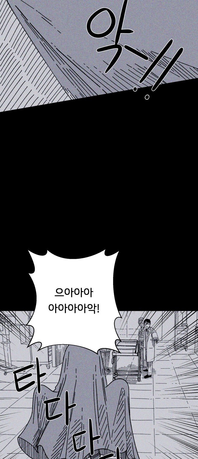 066.jpg