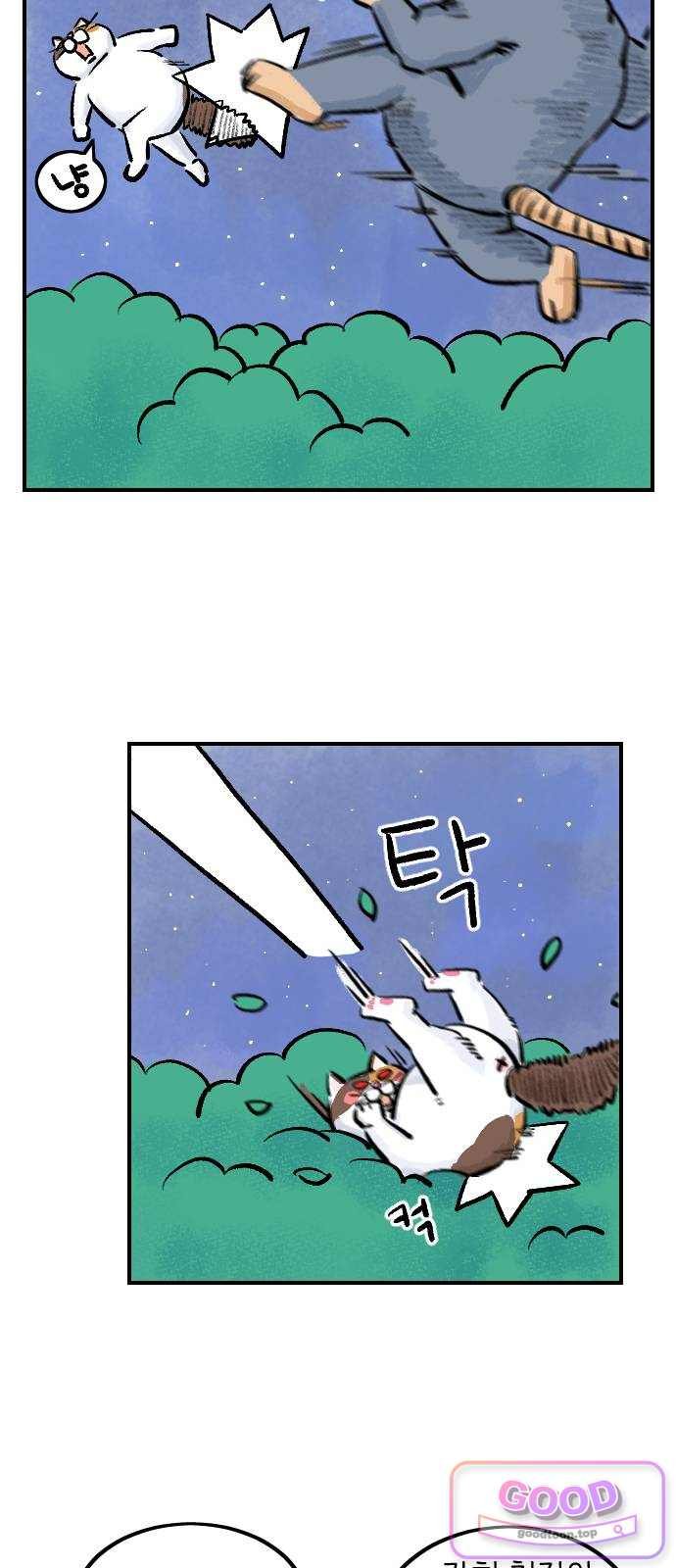 009.jpg