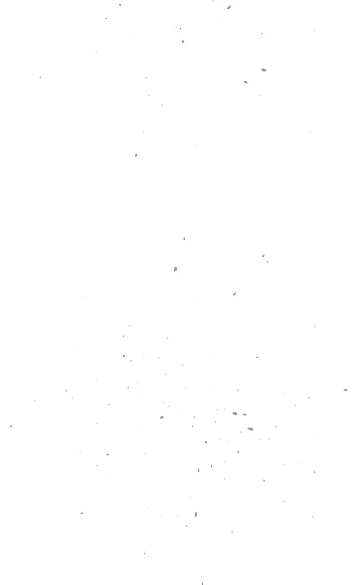 125.jpg