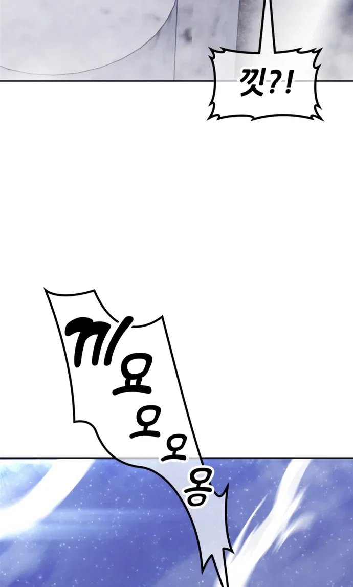 164.jpg