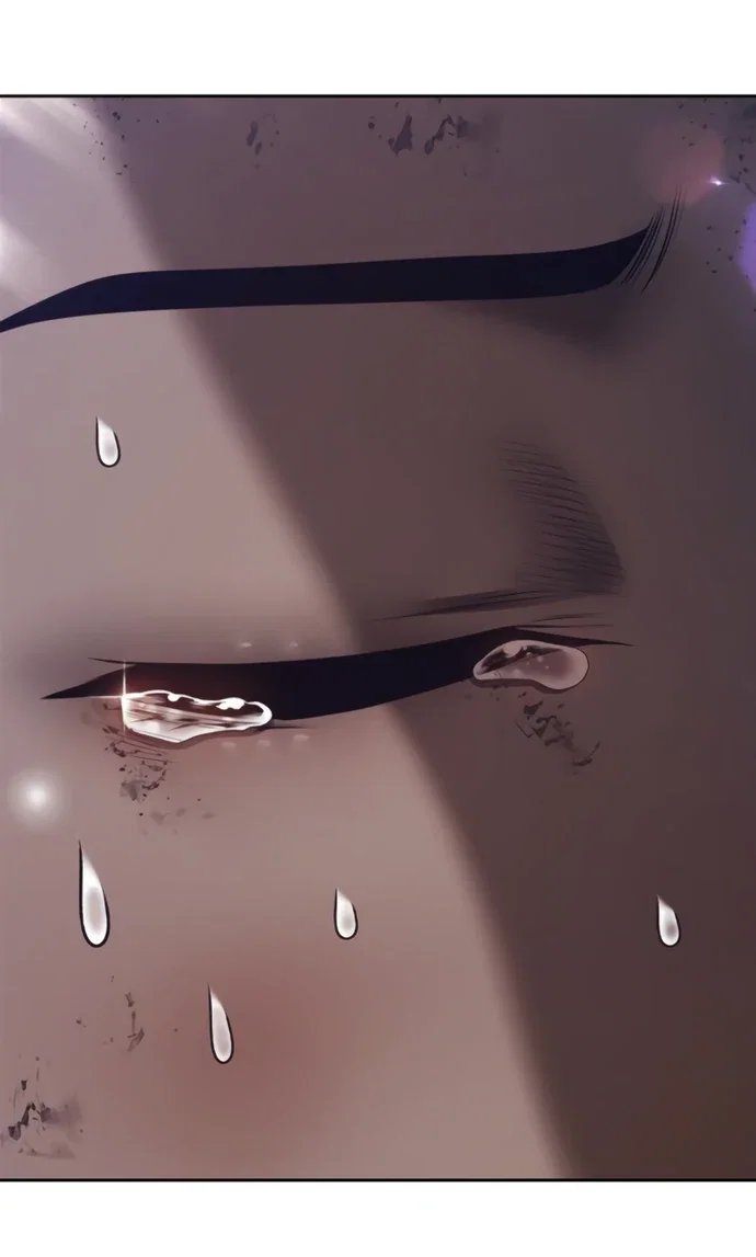 241.jpg