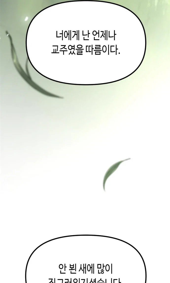 127.jpg