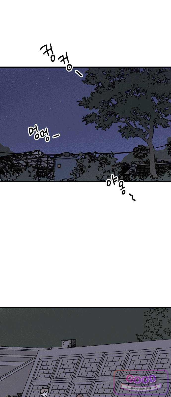 008.jpg