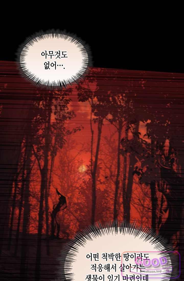 004.jpg