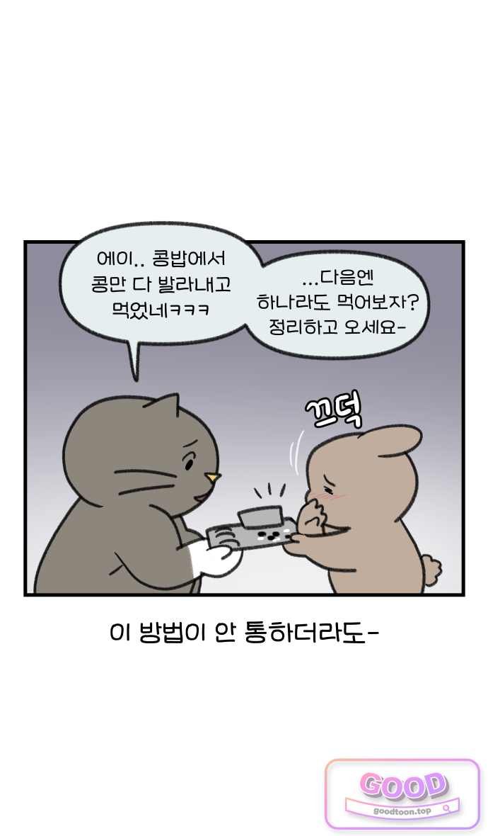 009.jpg