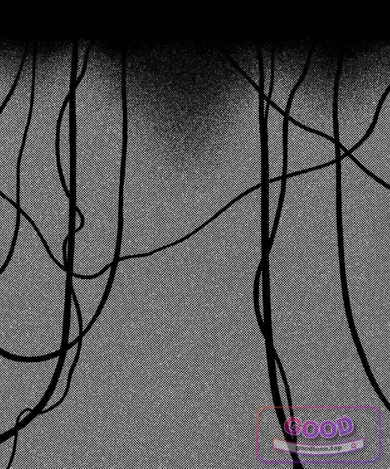 040.jpg