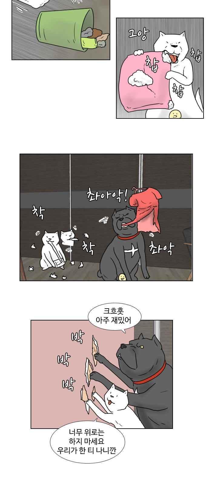 009.jpg