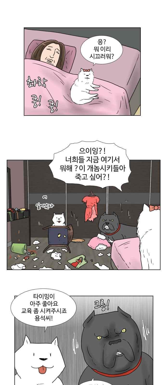 010.jpg