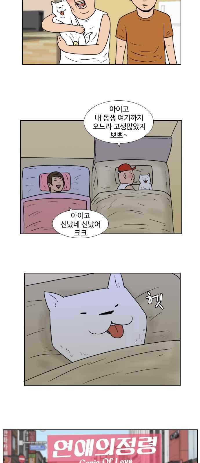 003.jpg