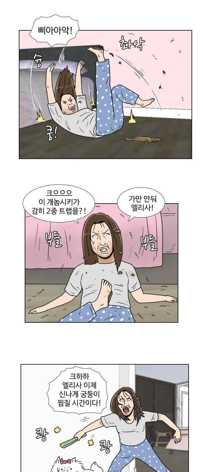 008.jpg