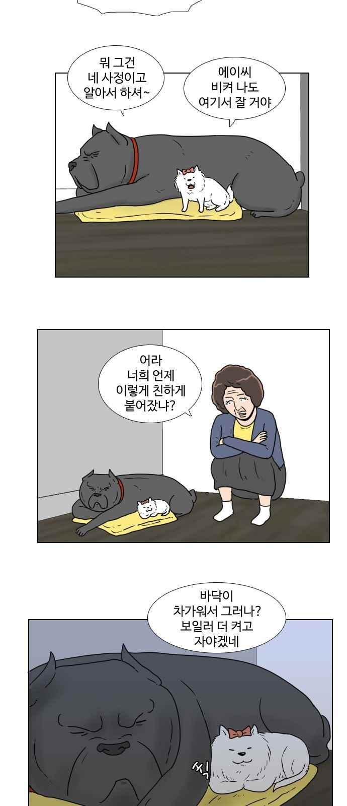 008.jpg
