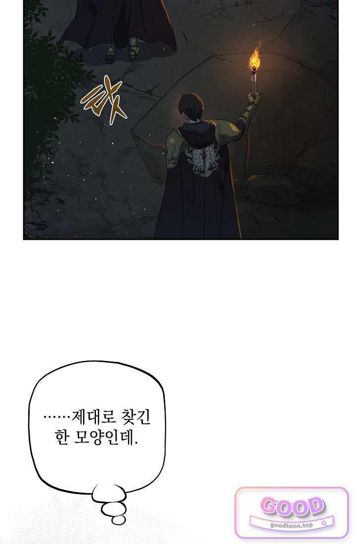 101.jpg