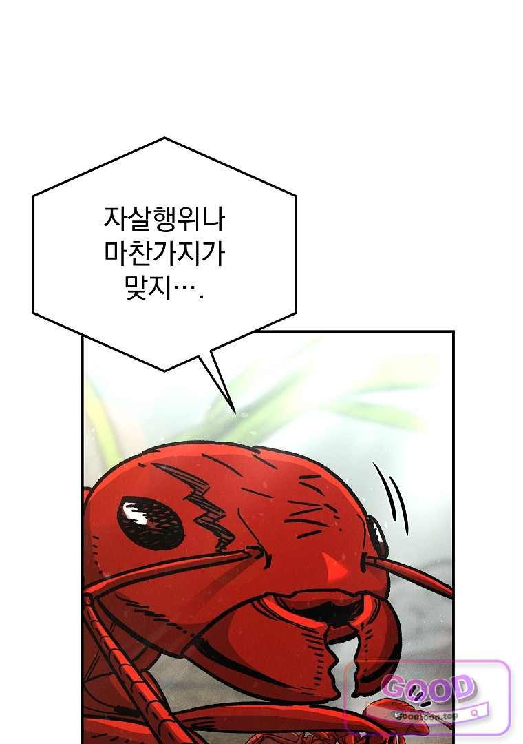 006.jpg