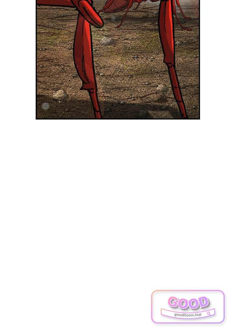 007.jpg