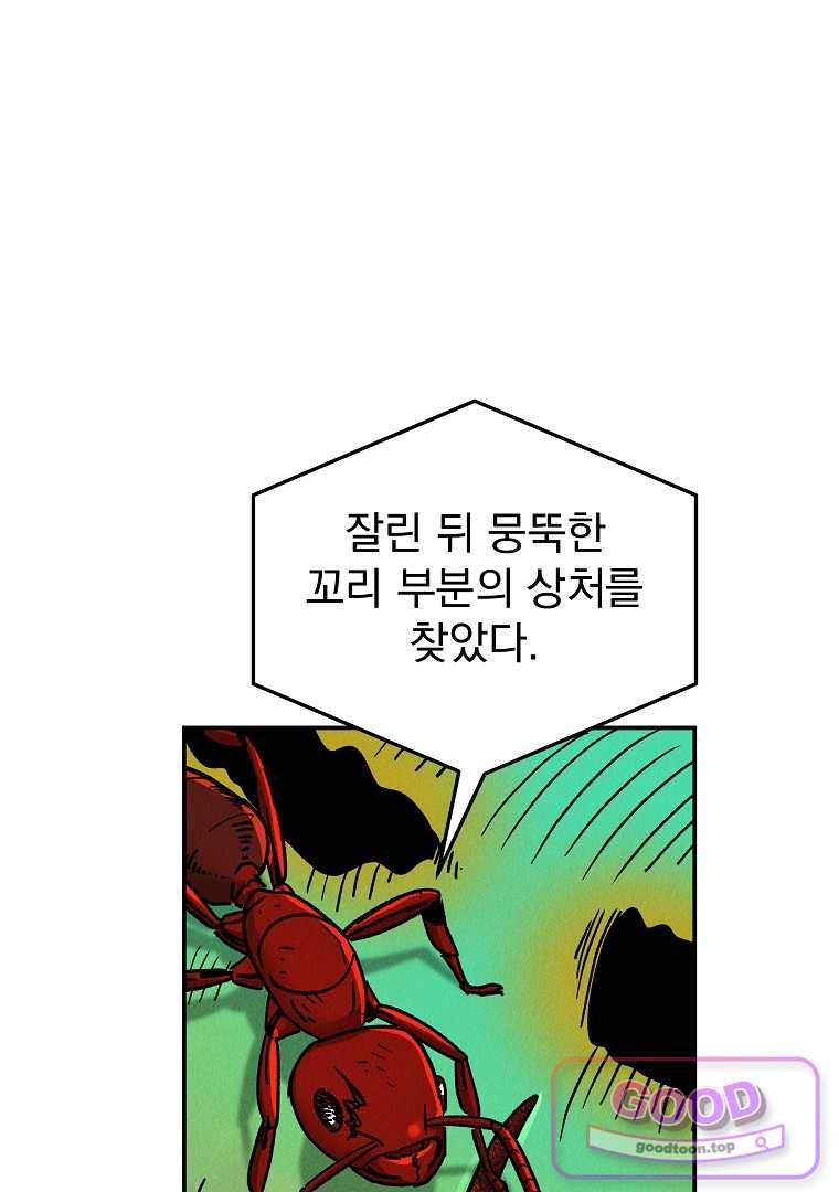 050.jpg