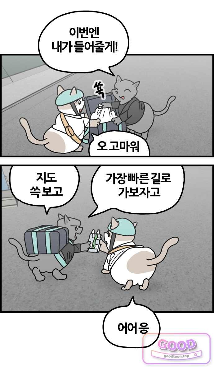 008.jpg