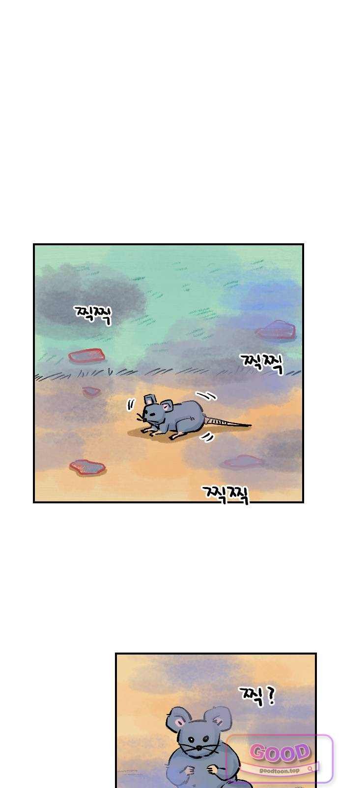 010.jpg