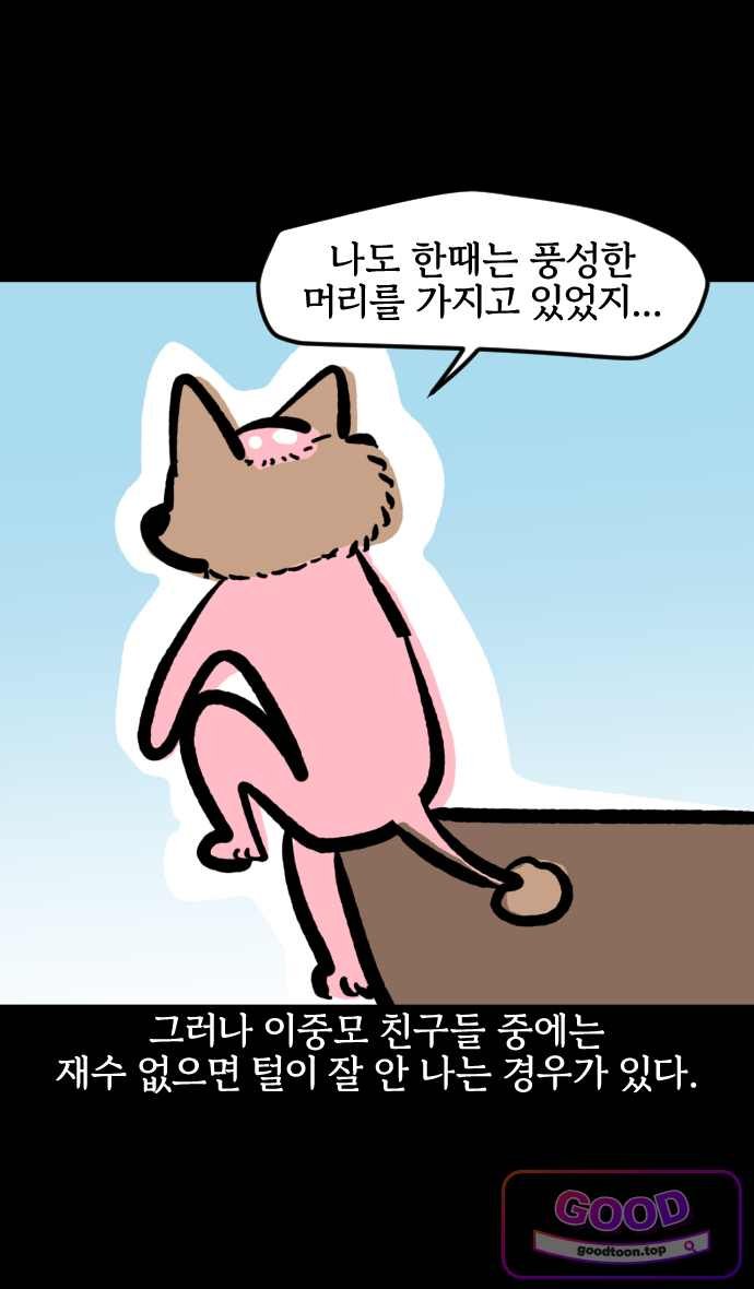 007.jpg