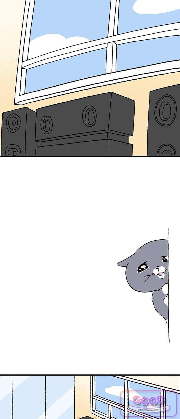 009.jpg