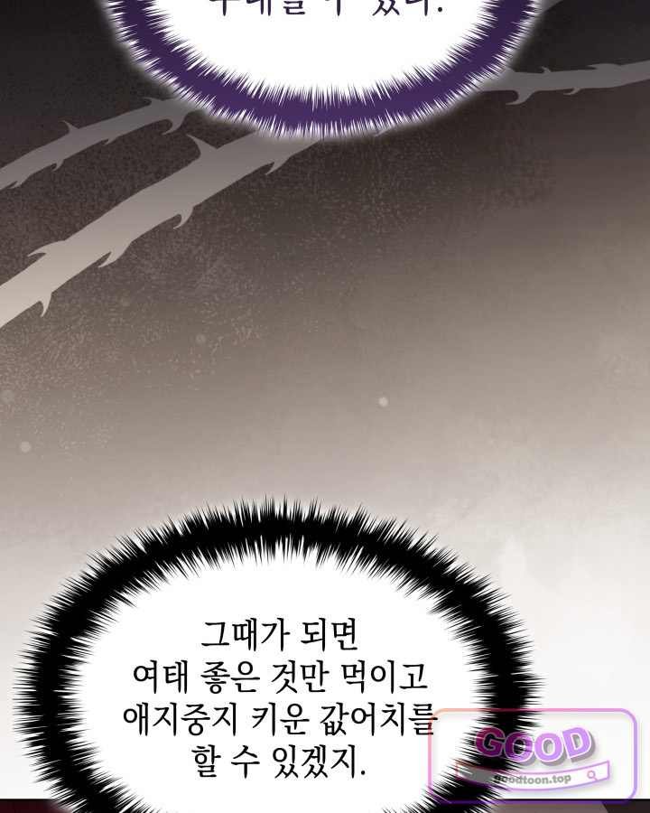100.jpg