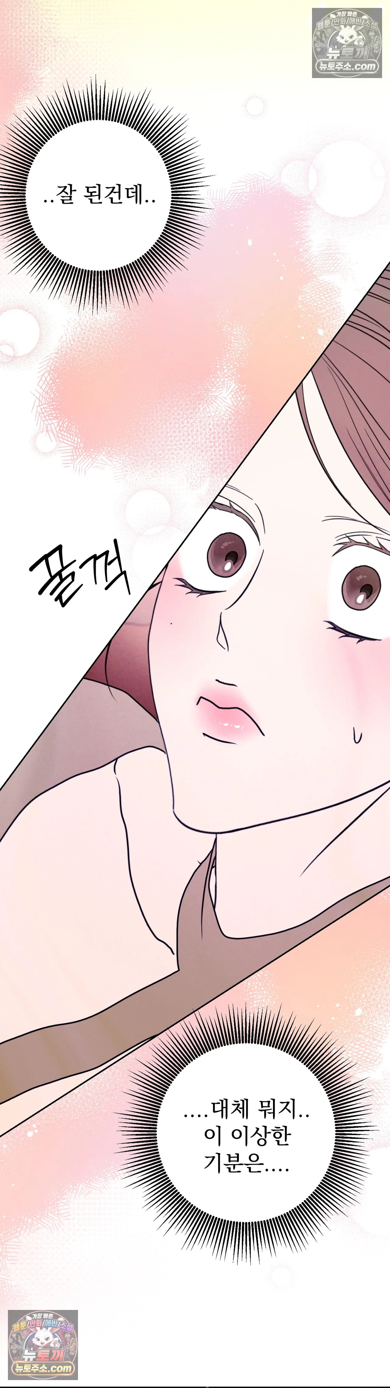004.jpg