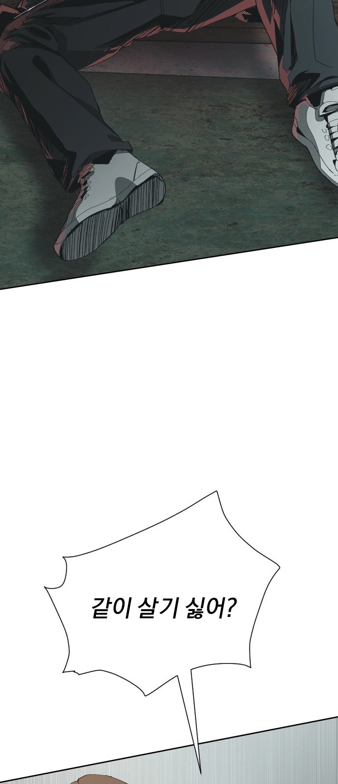 113.jpg