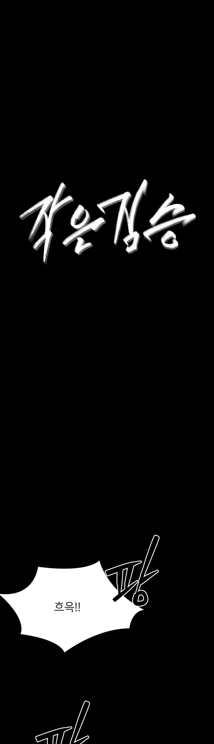 006.jpg