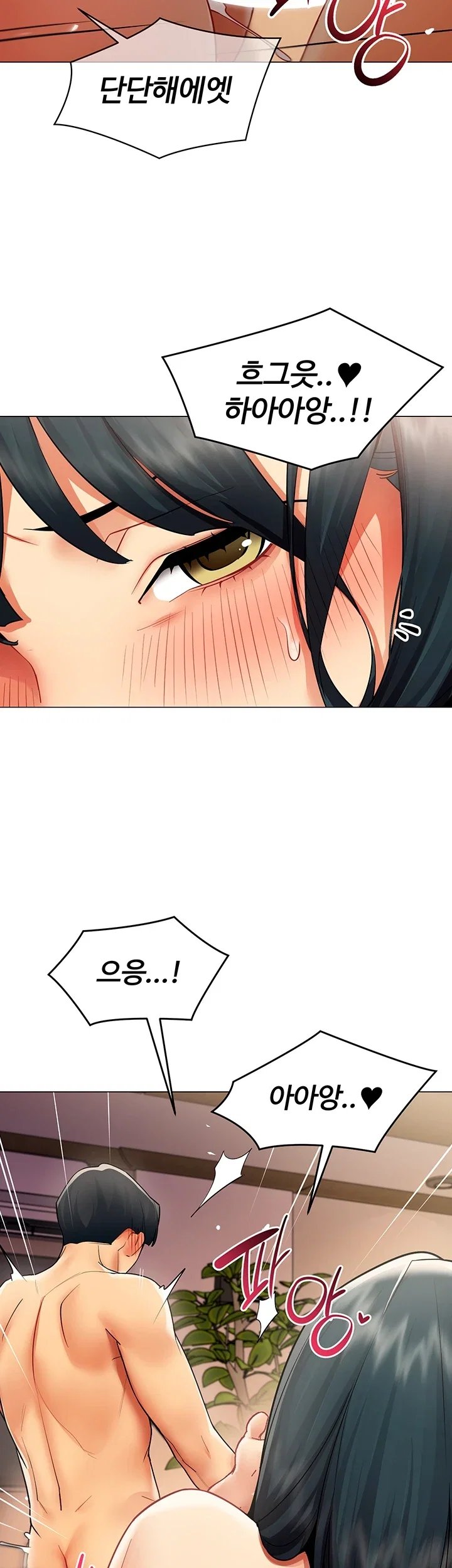 003.jpg