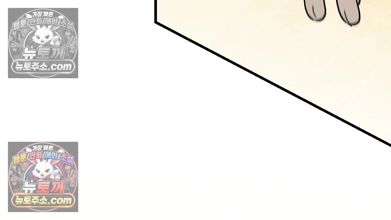 255.jpg