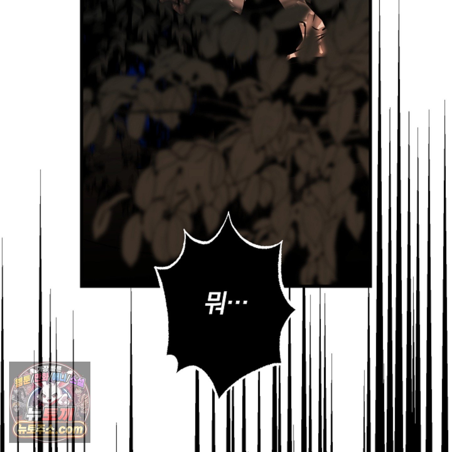 113.jpg
