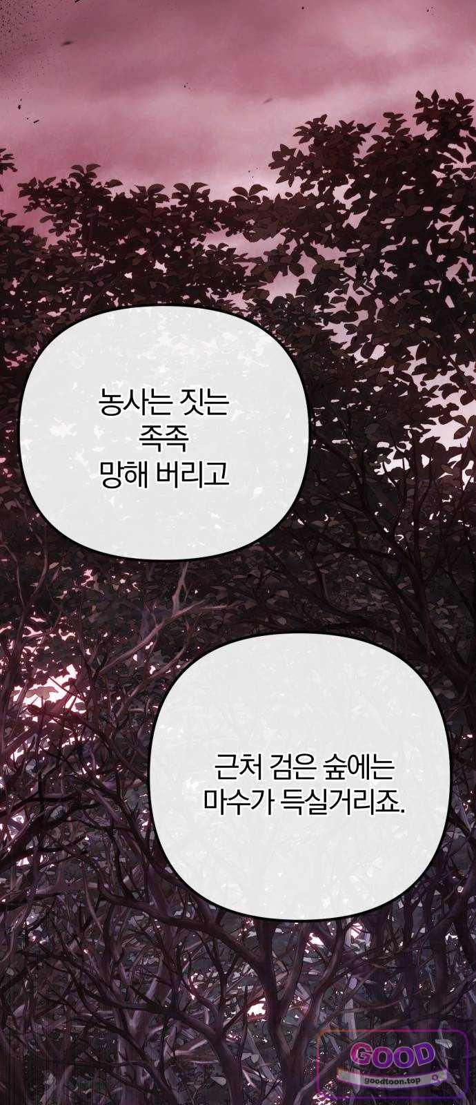 032.jpg