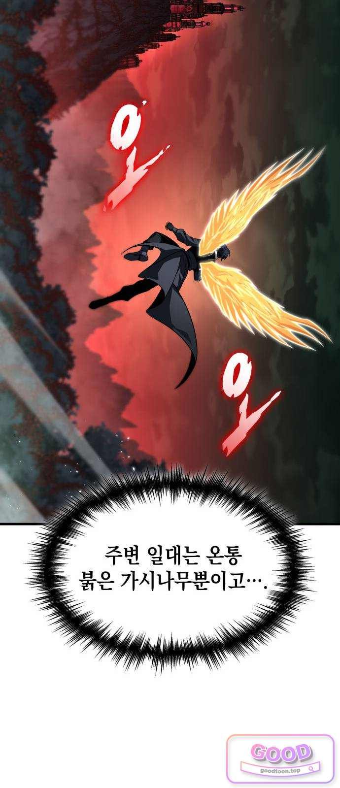 017.jpg