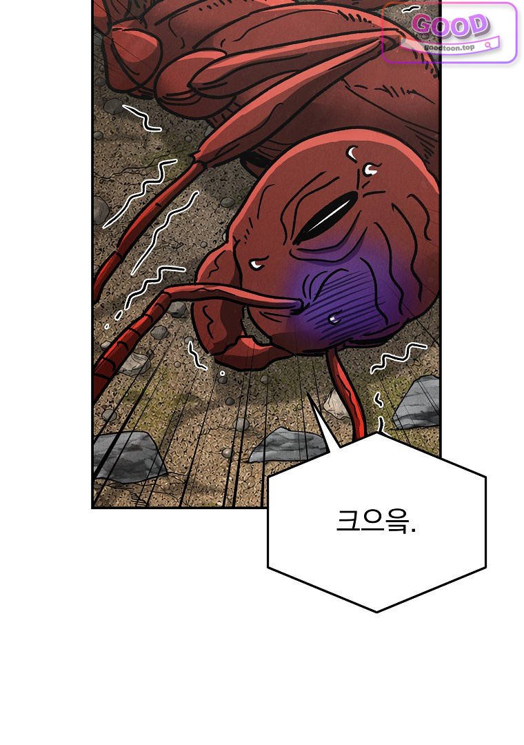 003.jpg
