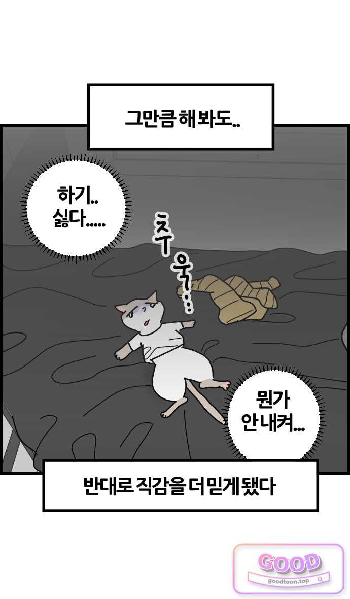 006.jpg