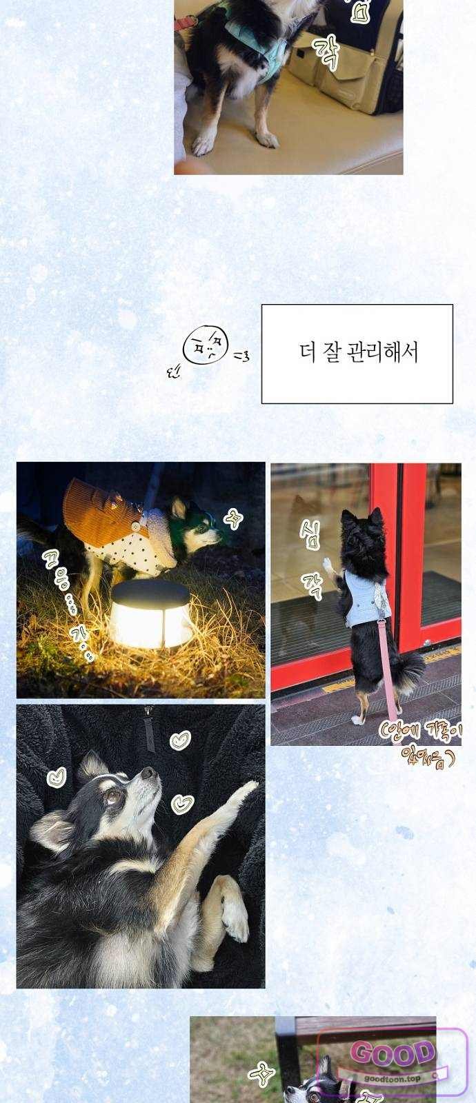 015.jpg