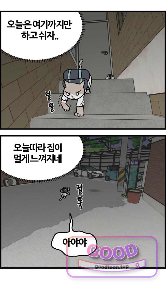 004.jpg