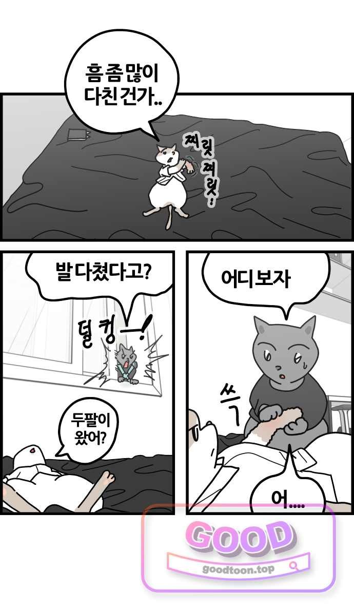 005.jpg
