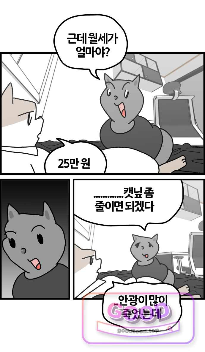 011.jpg