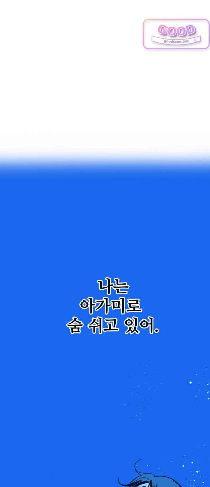 102.jpg