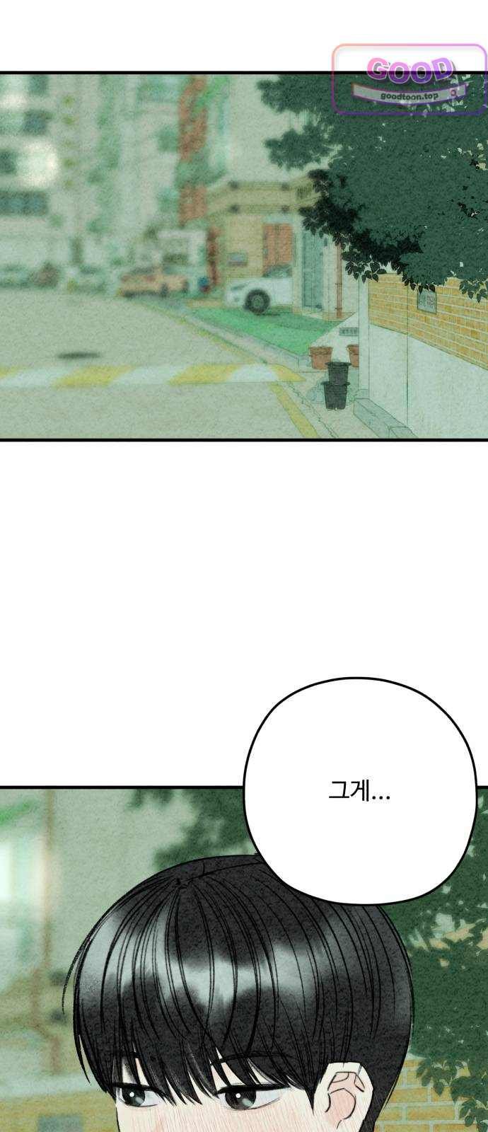 061.jpg