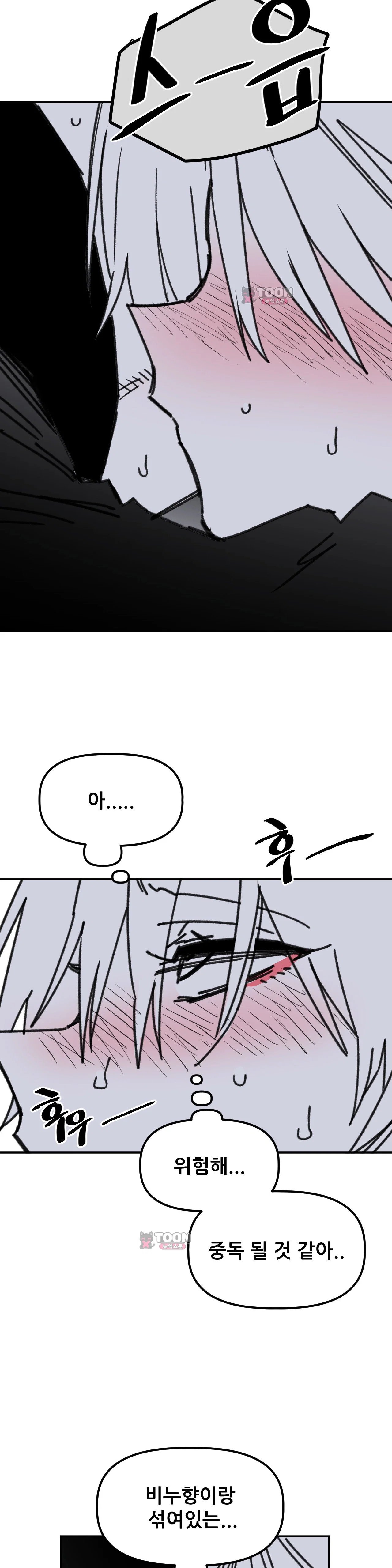 006.jpg