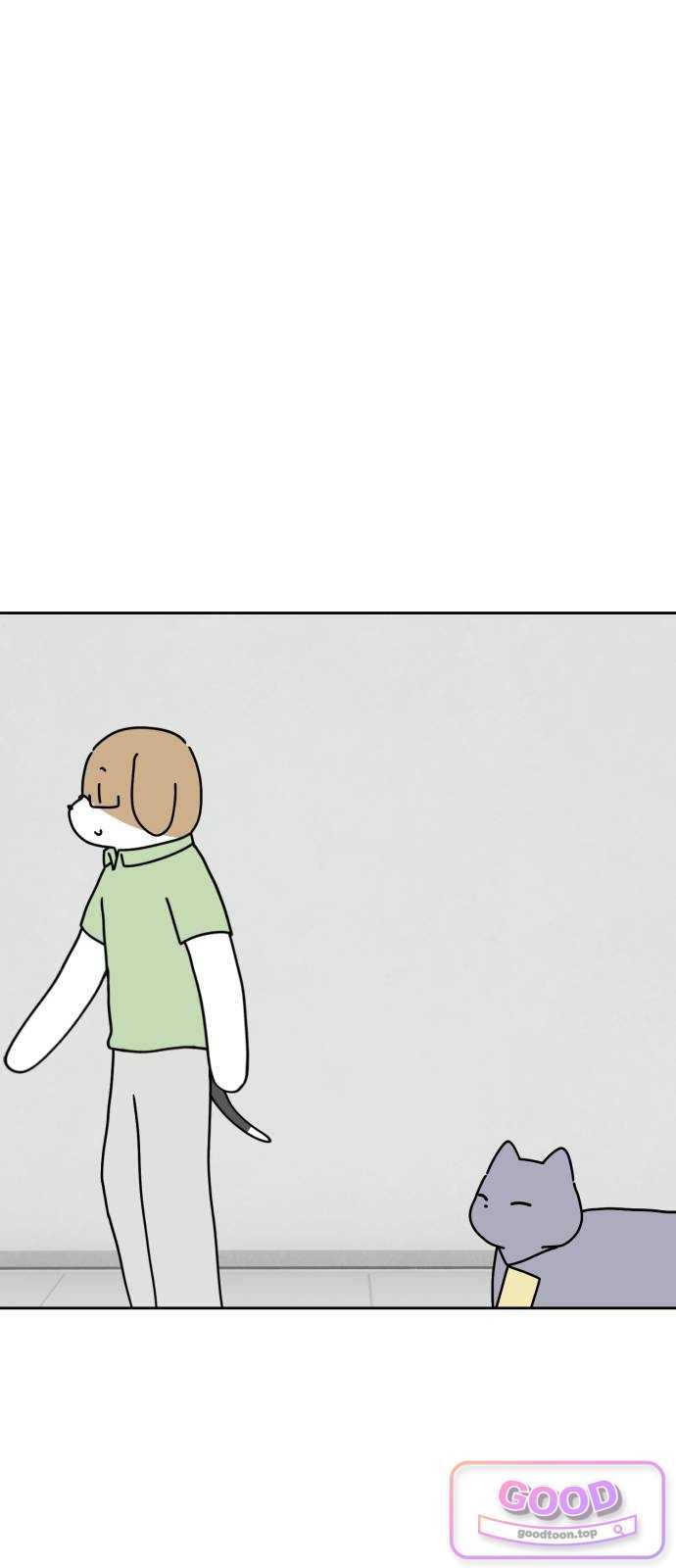 005.jpg